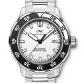 IWC IW356809